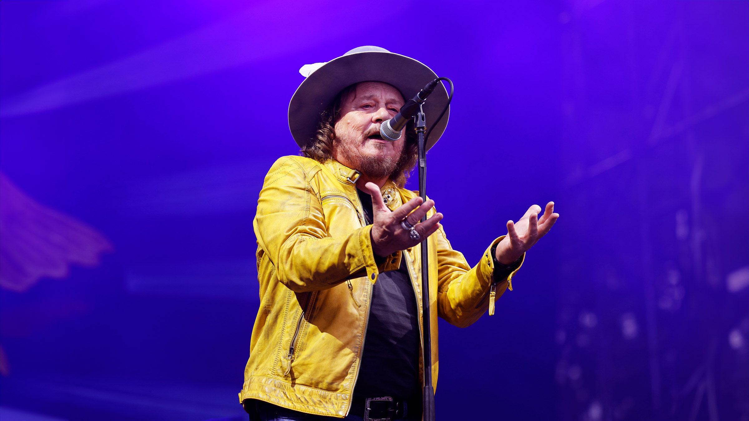 Zucchero live